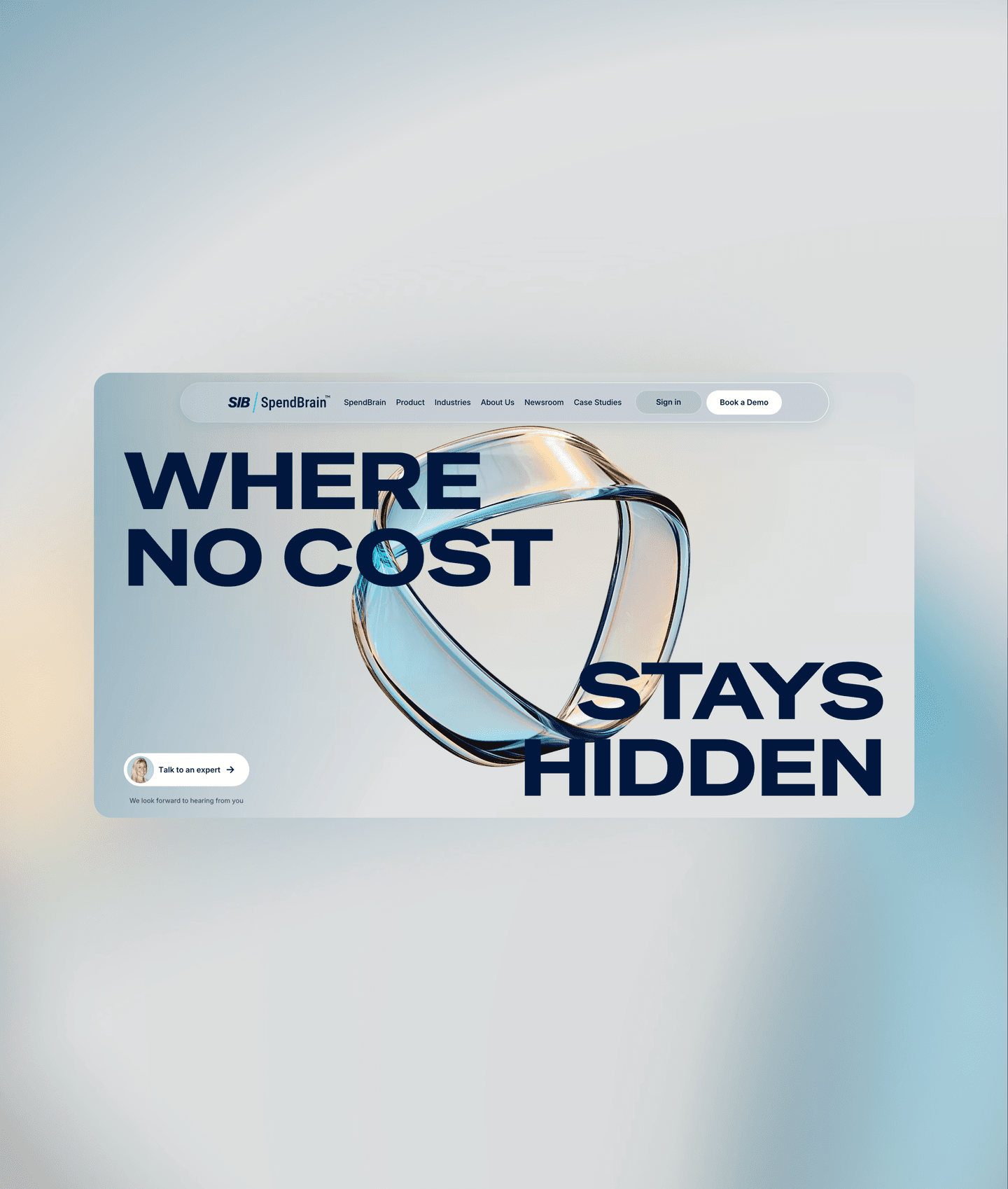 SIB — cost-savings consultancy site